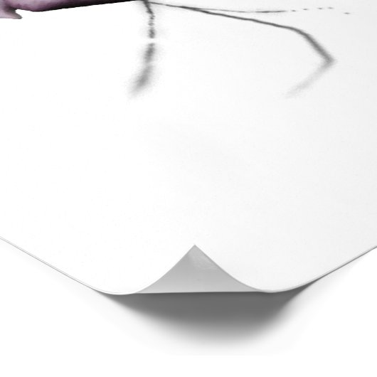 sk1 ポスター (角)