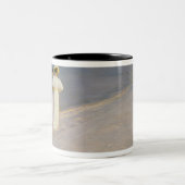 Skagenの南ビーチの夏の夕べ ツートーンマグカップ (中央)