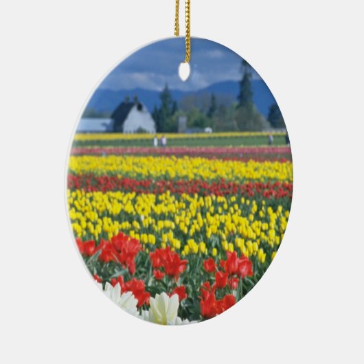 Skagitの赤い谷、レーニア山、ワシントン州、米国 セラミックオーナメント (右)