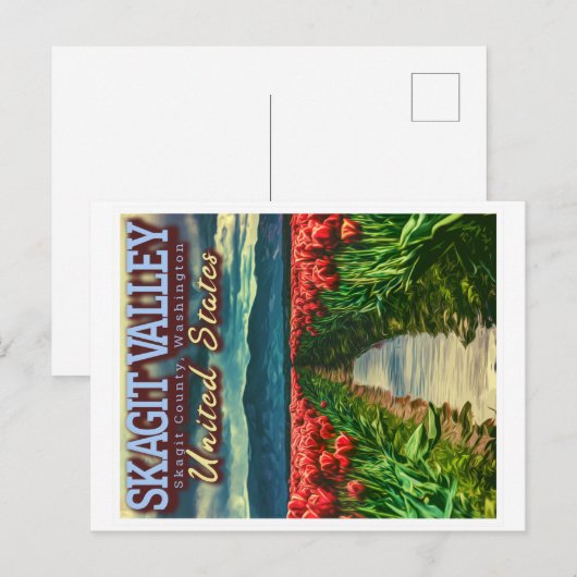 SKAGIT VALLEY - TULIP FIELDS - SKAGIT WASHINGTON ポストカード (正面/裏面)
