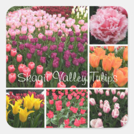 Skagit Valley, WAチューリップのシールのコラージュ スクエアシール
