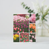 Skagit Valley, WAチューリップ葉書コラージュ ポストカード (スタンド正面)