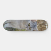 Skateboard Atento gato británico de pelo corto  スケートボード (横)