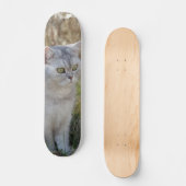 Skateboard Atento gato británico de pelo corto  スケートボード (正面)