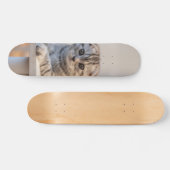 Skateboard Atento gato de raza fold escocés スケートボード (横)