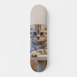 Skateboard Atento gato de raza fold escocés スケートボード