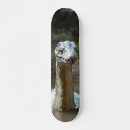 Skateboard Aterrador monstruo acuático en laguna スケートボード