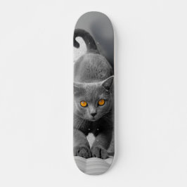 Skateboard Curioso gato británico de pelo corto スケートボード
