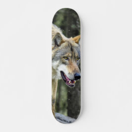 Skateboard Depredador lobo gris observando スケートボード