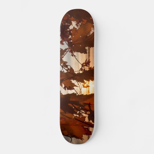Skateboard feuilles d'érable スケートボード (正面)