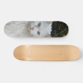 Skateboard Gato blanco angora turco ojos azules スケートボード (横)
