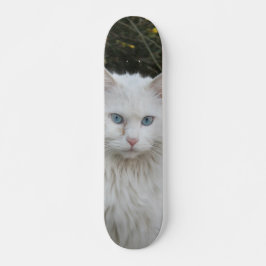 Skateboard Gato blanco angora turco ojos azules スケートボード