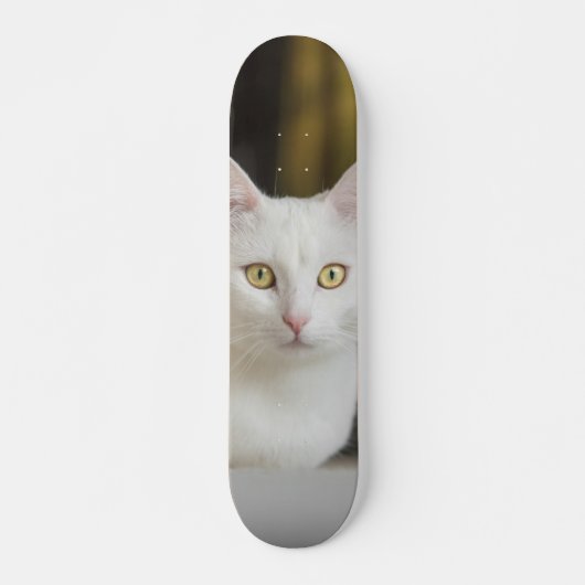 Skateboard Gato blanco con ojos amarillos スケートボード (正面)