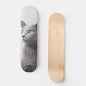 Skateboard Gato de raza azul ruso de ojos verdes スケートボード (正面)