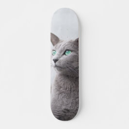 Skateboard Gato de raza azul ruso de ojos verdes スケートボード