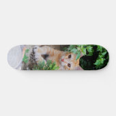 Skateboard Gato descansa atento para cazar スケートボード (横)