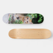 Skateboard Gato descansa atento para cazar スケートボード (横)