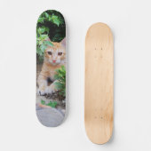 Skateboard Gato descansa atento para cazar スケートボード (正面)