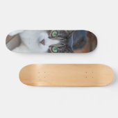 Skateboard Gato gris y blanco observando スケートボード (横)