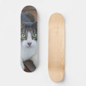 Skateboard Gato gris y blanco observando スケートボード (正面)