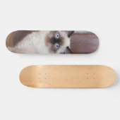 Skateboard Gato peludo de raza ragdoll スケートボード (横)