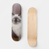 Skateboard Gato peludo de raza ragdoll スケートボード (正面)