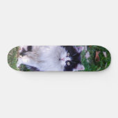 Skateboard Gato raza Maine Coon pelo largo スケートボード (横)