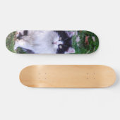 Skateboard Gato raza Maine Coon pelo largo スケートボード (横)