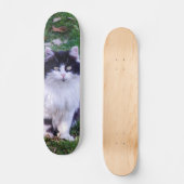 Skateboard Gato raza Maine Coon pelo largo スケートボード (正面)