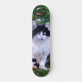 Skateboard Gato raza Maine Coon pelo largo スケートボード