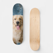Skateboard Inteligente perro Labrador  スケートボード (正面)