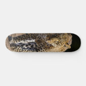 Skateboard Leopardo peligroso depredador スケートボード (横)