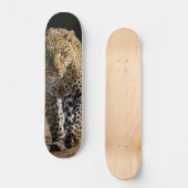 Skateboard Leopardo peligroso depredador スケートボード (正面)