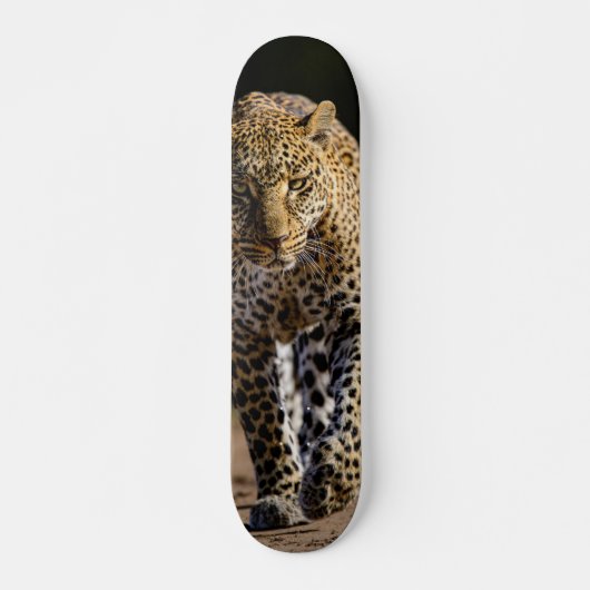 Skateboard Leopardo peligroso depredador スケートボード (正面)