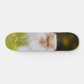 Skateboard Peludo gato persa observando スケートボード (横)