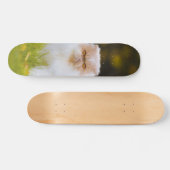 Skateboard Peludo gato persa observando スケートボード (横)