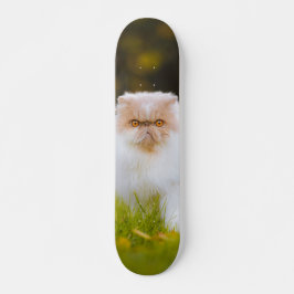 Skateboard Peludo gato persa observando スケートボード