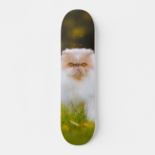 Skateboard Peludo gato persa observando スケートボード (正面)