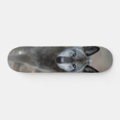 Skateboard Perro lobo salvaje depredador curioso スケートボード (横)