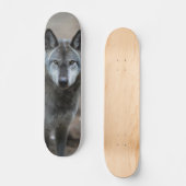 Skateboard Perro lobo salvaje depredador curioso スケートボード (正面)