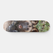 Skateboard Perro salvaje vigilando para cazar スケートボード (横)
