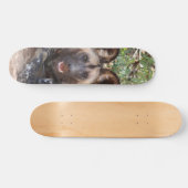 Skateboard Perro salvaje vigilando para cazar スケートボード (横)