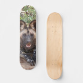 Skateboard Perro salvaje vigilando para cazar スケートボード (正面)