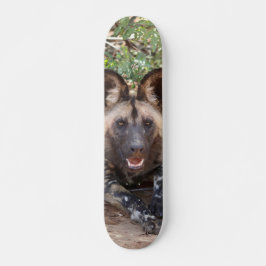 Skateboard Perro salvaje vigilando para cazar スケートボード