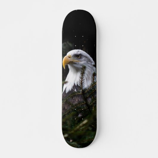 Skateboard Poderosa águila calva スケートボード (正面)
