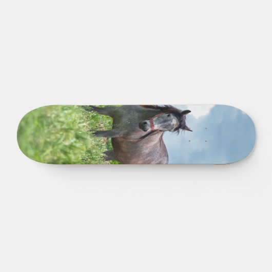 Skateboard Poderoso caballo gris en el campo スケートボード (横)