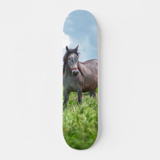 Skateboard Poderoso caballo gris en el campo スケートボード (正面)
