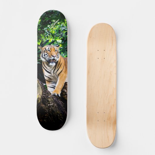 Skateboard Poderoso cazador tigre de Bengala スケートボード (正面)