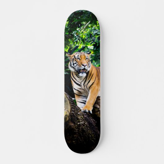 Skateboard Poderoso cazador tigre de Bengala スケートボード (正面)