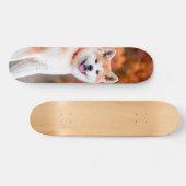 Skateboard Poderoso perro Akita japonés sentado スケートボード (横)